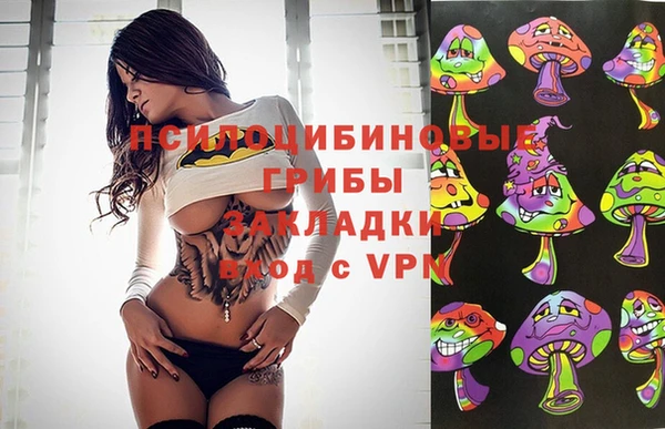 амф Абдулино