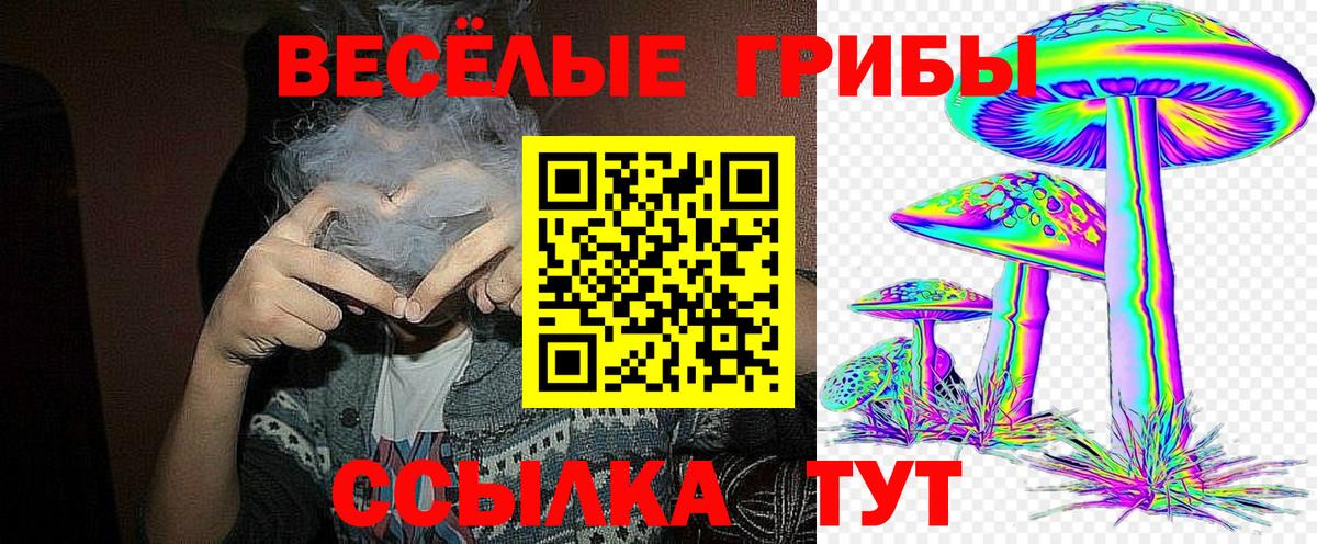 Красноперекопск  купить наркоту  Вход с VPN  Псилоцибиновые грибы ЛСД  Псилоцибиновые грибы Magic Shrooms 